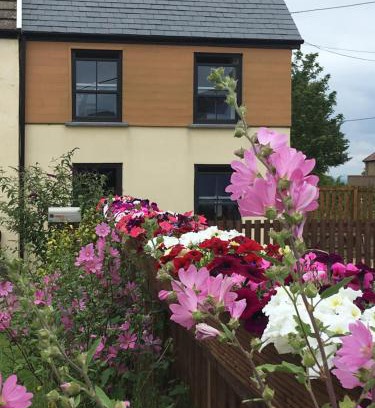 Oldwalls House | Willow Mews