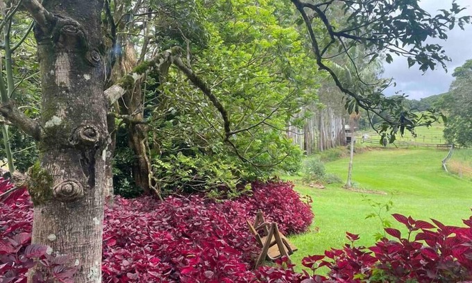 Rosebank Other | Windaboo @ Rosebank Byron Hinterland Estate