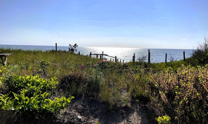 Campground Landing Cottage | Windswept on Campground Beach