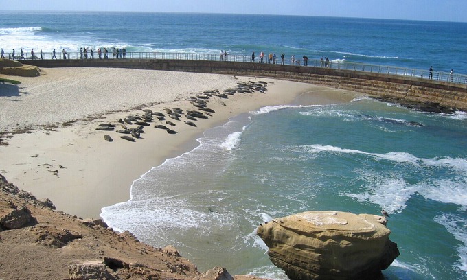 Solana Beach Resort | Winners Circle Resort, kitchen, pool, near beaches, tennis, 24/7 front desk