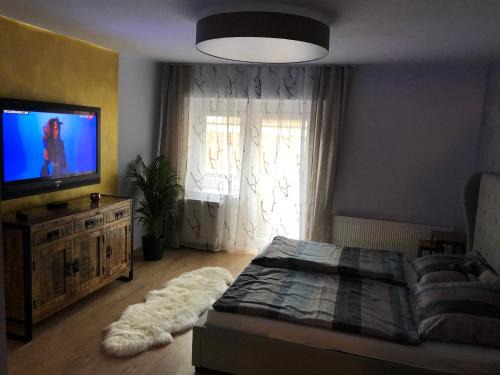 Steyrdorf Apartment | Wohlfühlappartment in der Altstadt von Steyr