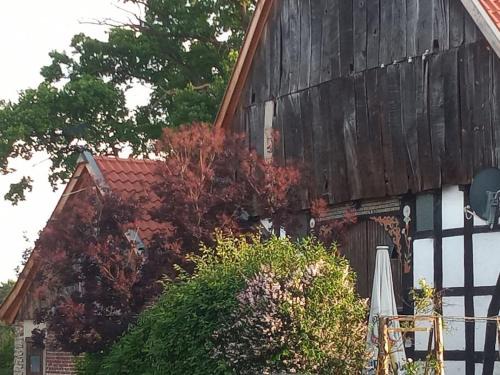 Detmold Apartment | Wohlfühlwohnung im Grünen auf Pferdehof