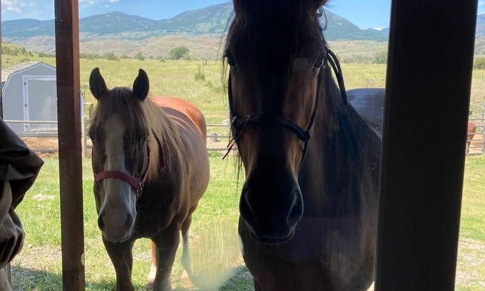 Pray House | Wonderful Montana experience with great views and horses! Yellowstone 25mi
