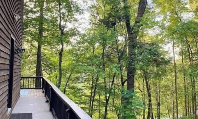 Rock Island Cabin | Wooded Cabin on Rocky River
