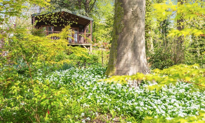 Milton Abbas House | Woodland Views Lodge