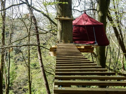 Fecamp Other | Woody Park
