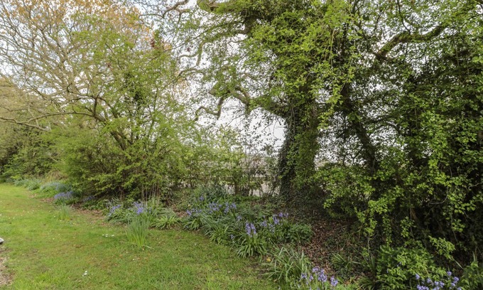Morpeth Cottage | Wren Cottage