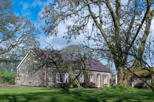Bontnewydd House | Y Berllan