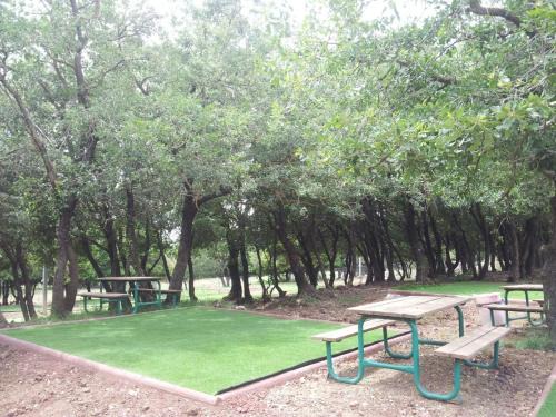 Odem Other | Yaar Odem Resort - כפר נופש יער אודם
