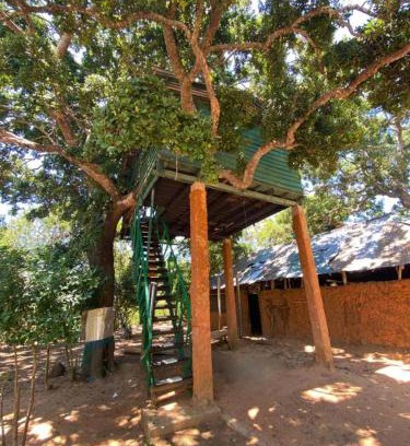 Palatupana Hotel | Yala Wild Tree House