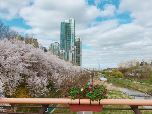 Yangjae-dong Apartment | Yangjae Station & Stream Stay