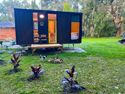 Stuarts Point House | Yarriabinni Escape 1 by Tiny Away