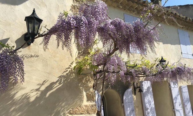 Mallemort Cottage | Yellow cottage in Provence
