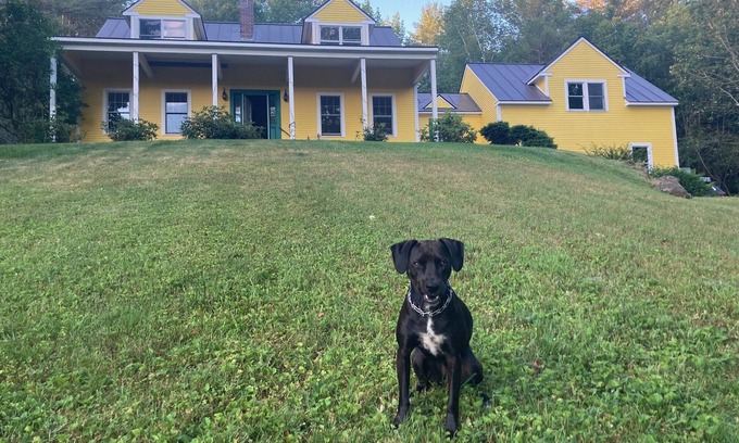 West Woodstock House | Yellow House on the Hill, 21 Acres, Views, Woodstock Getaway, Dog-friendly