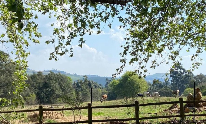 Curry's Post House | Yellowwoods Farm - WILLOUGHBYS COTTAGE and OLD STABLES COTTAGE