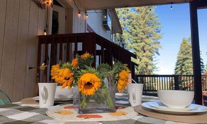 Yosemite West Apartment | YoBee! Heart of Yosemite. Cozy Studio. Park Entrance + Free Breakfast + Dog ~L6
