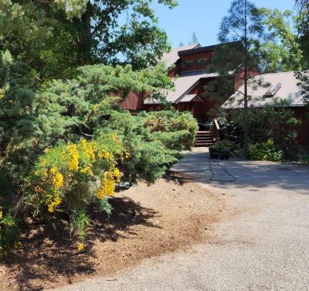 Oakhurst Cabin | Yosemite Mountain Retreat