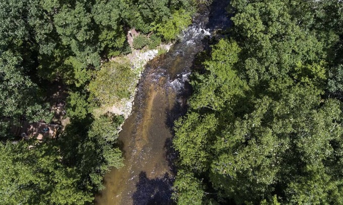 Blairsville Cabin | Young Cane Creek Retreat Private Lower Suite w/NO CLEANING FEE and Pet Friendly