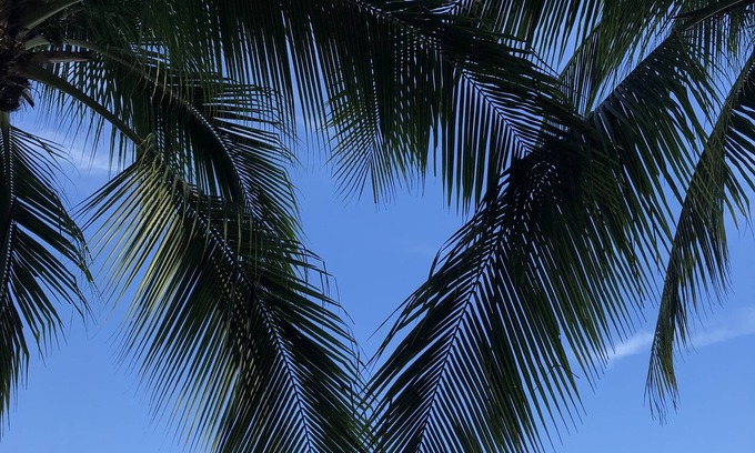 Vero Beach Condo | Your Home Away from Home in Vero Beach
