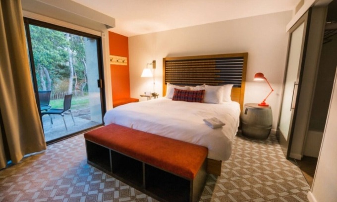 Live Oak Hotel | Your Ultimate Nature Retreat Starts Here | Forest View Room w/Patio | Scenic