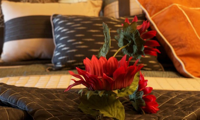 East Kootenay Apartment | YPC Fitness & Accomodations