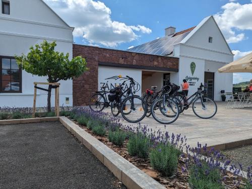 Zánka Hotel | ZÁNKAPU -Hotel for You- Adult & Bike Friendly 3-Room B&B with Local Wine, Terrace & Káli-medence Experience