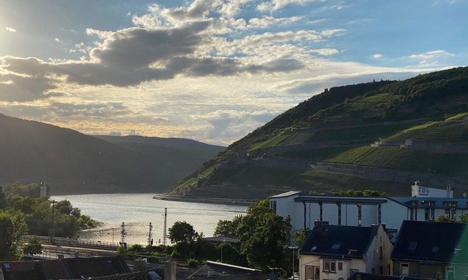 Mainz-Bingen Apartment | Zentraler Wohnkomfort mit Rheinpanorama