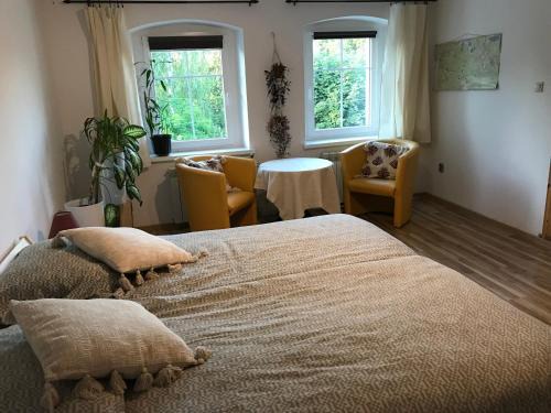 Stara Kamienica Apartment | Zielony Domek