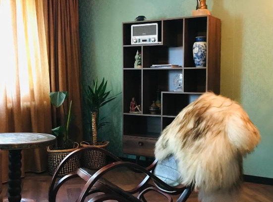 Haren Apartment | Zoek de grens op! Appartement Barenfleer