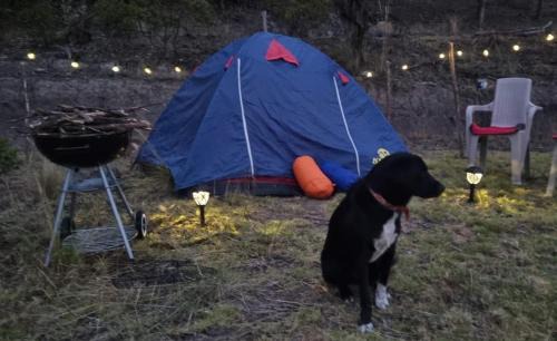 Mongui Other | Zonas Camping NaturaLove