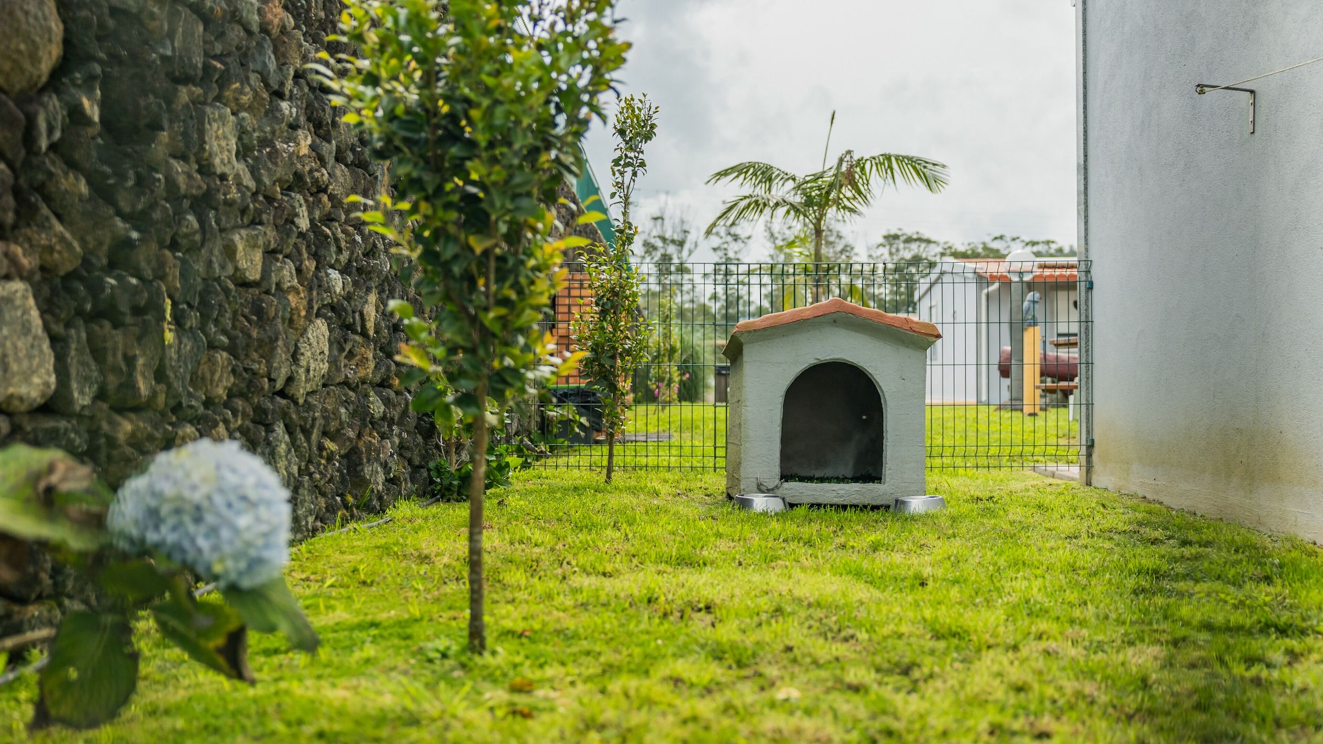Photo of Outdoor in Ribeira Grande