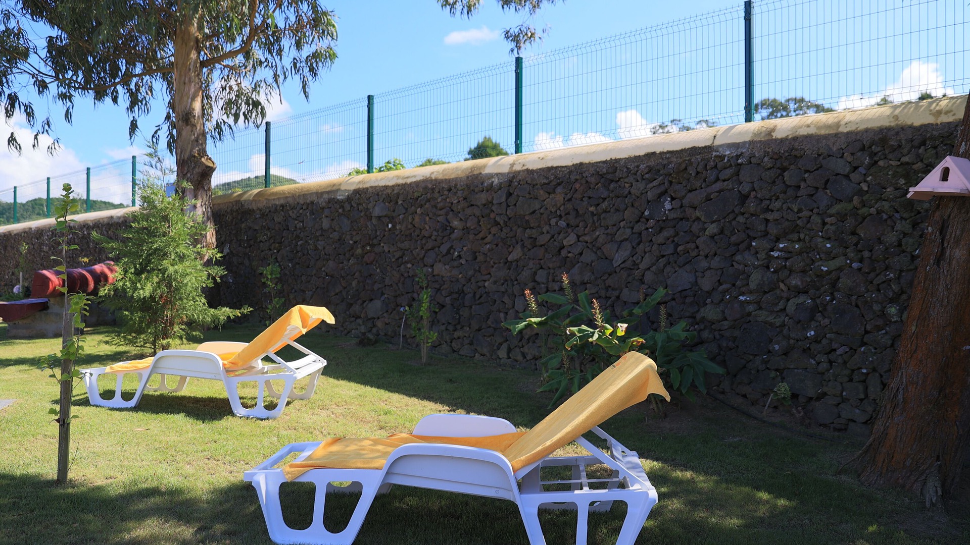 Photo of Patio Balcony in Ribeira Grande