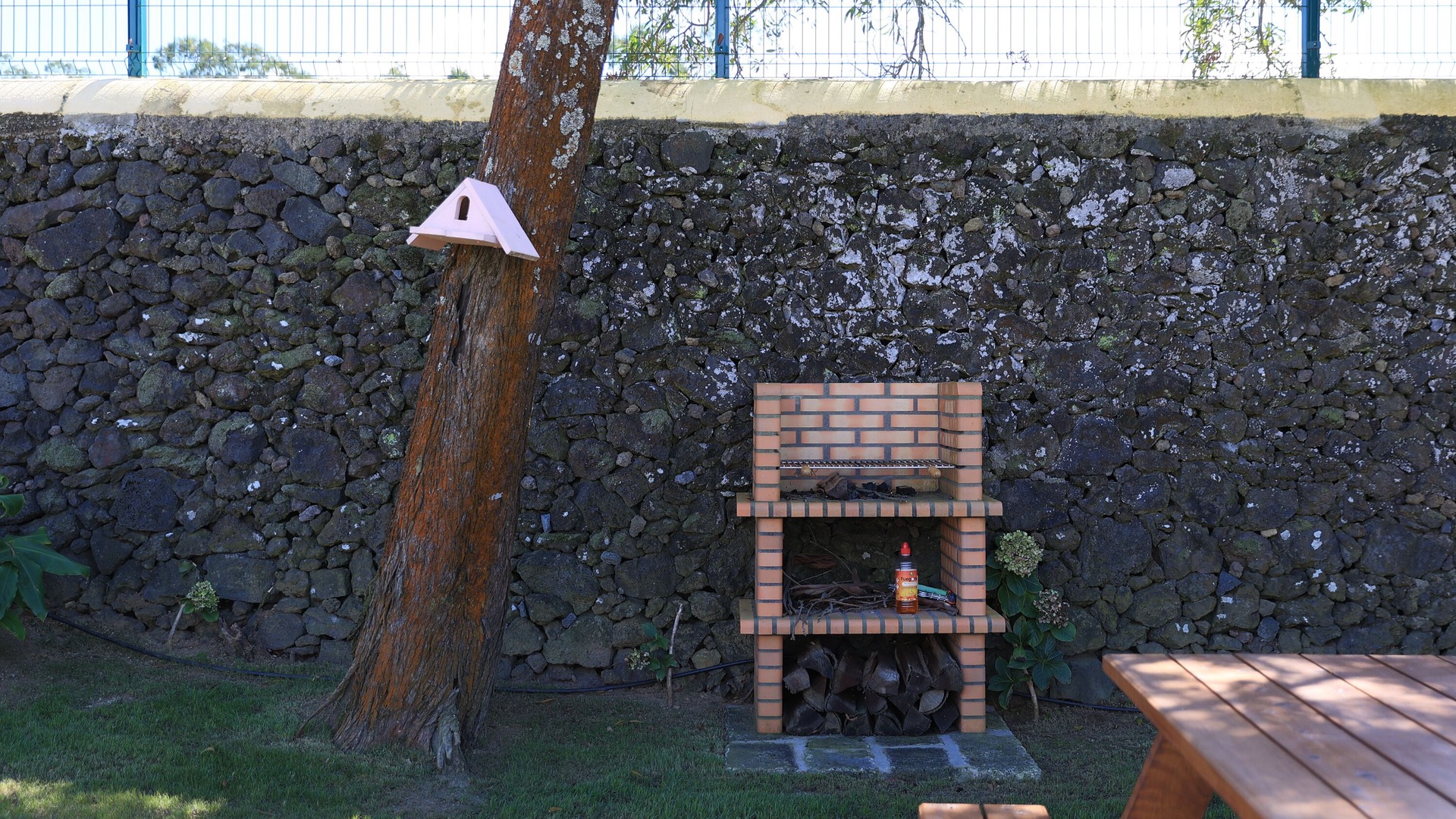 Photo of Outdoor in Ribeira Grande