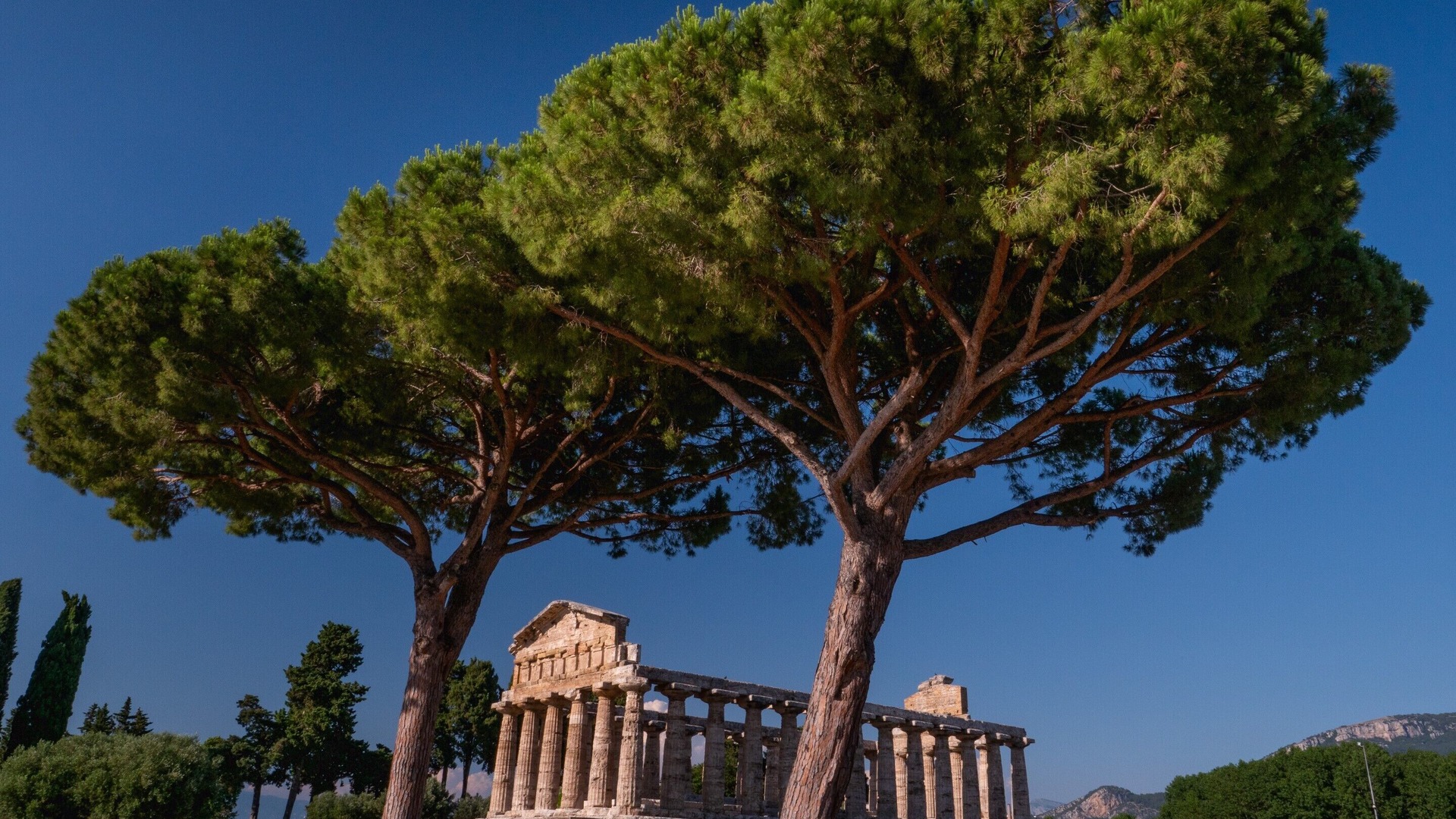 Photo of Outdoor in Capaccio-Paestum