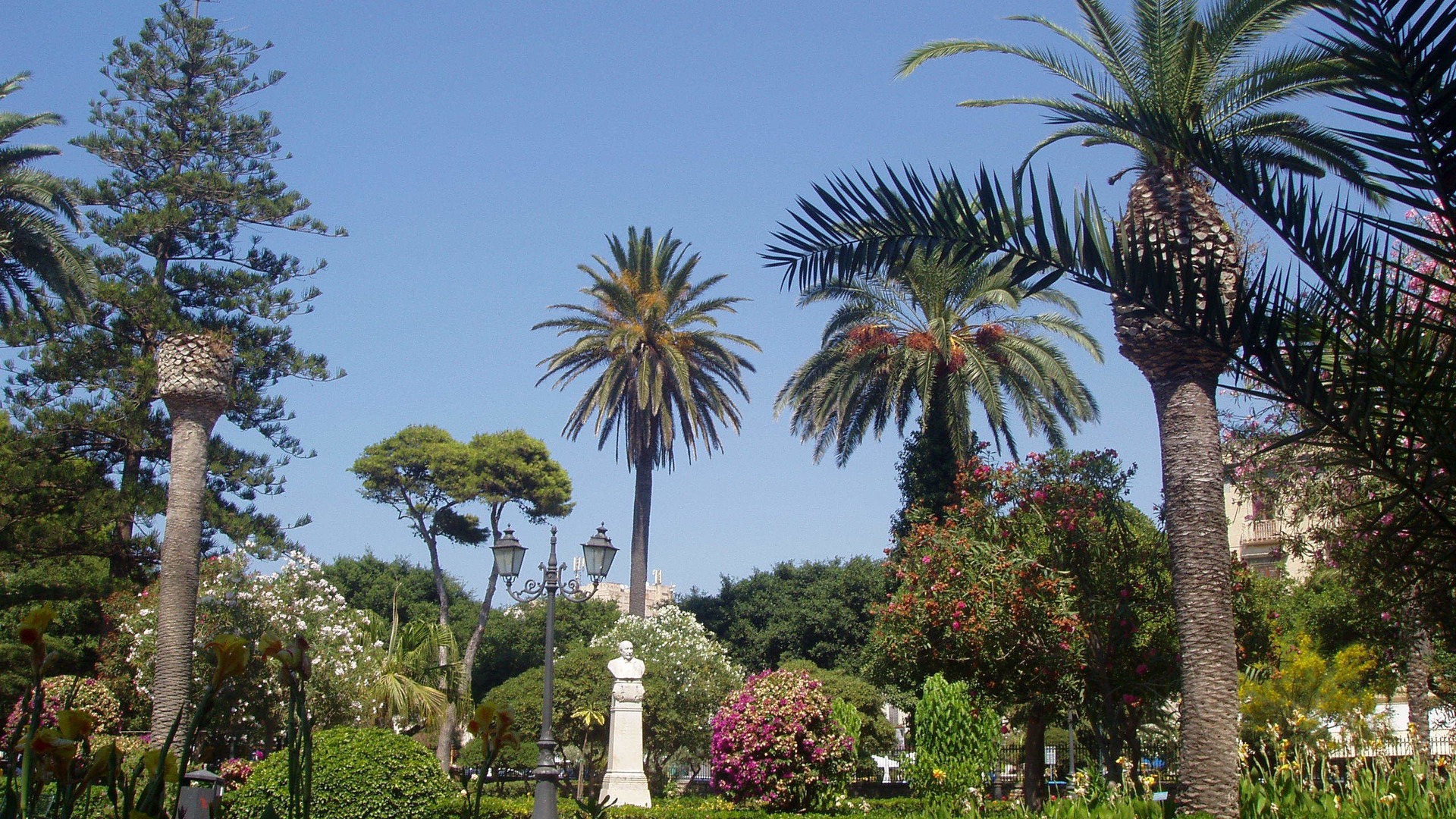 Photo of Others in Trapani