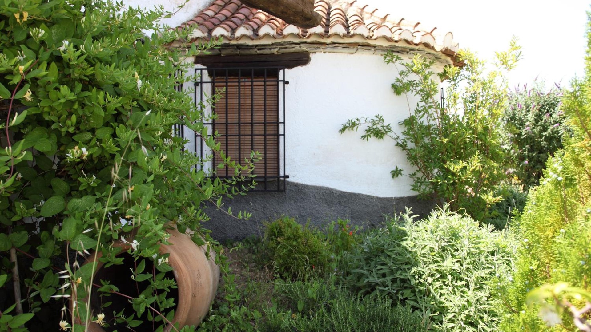 Photo of Outdoor in La Calahorra