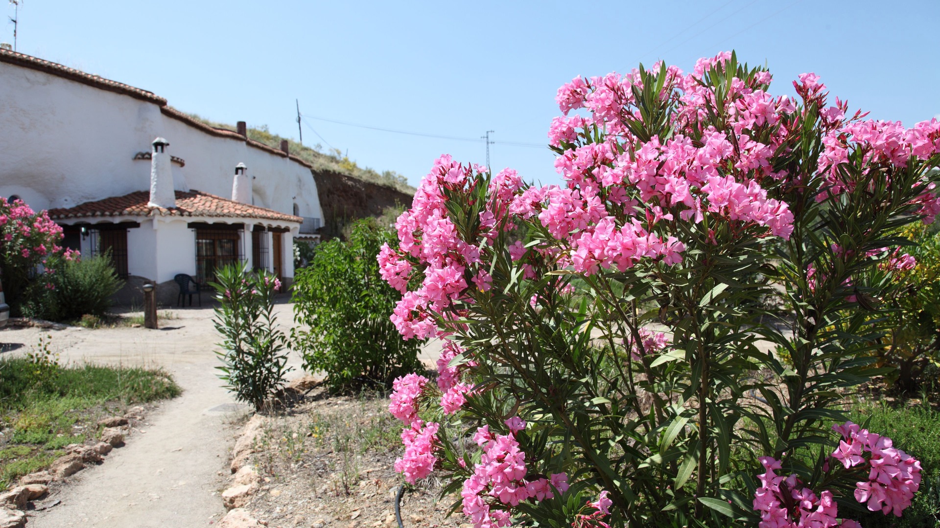 Photo of Outdoor in La Calahorra
