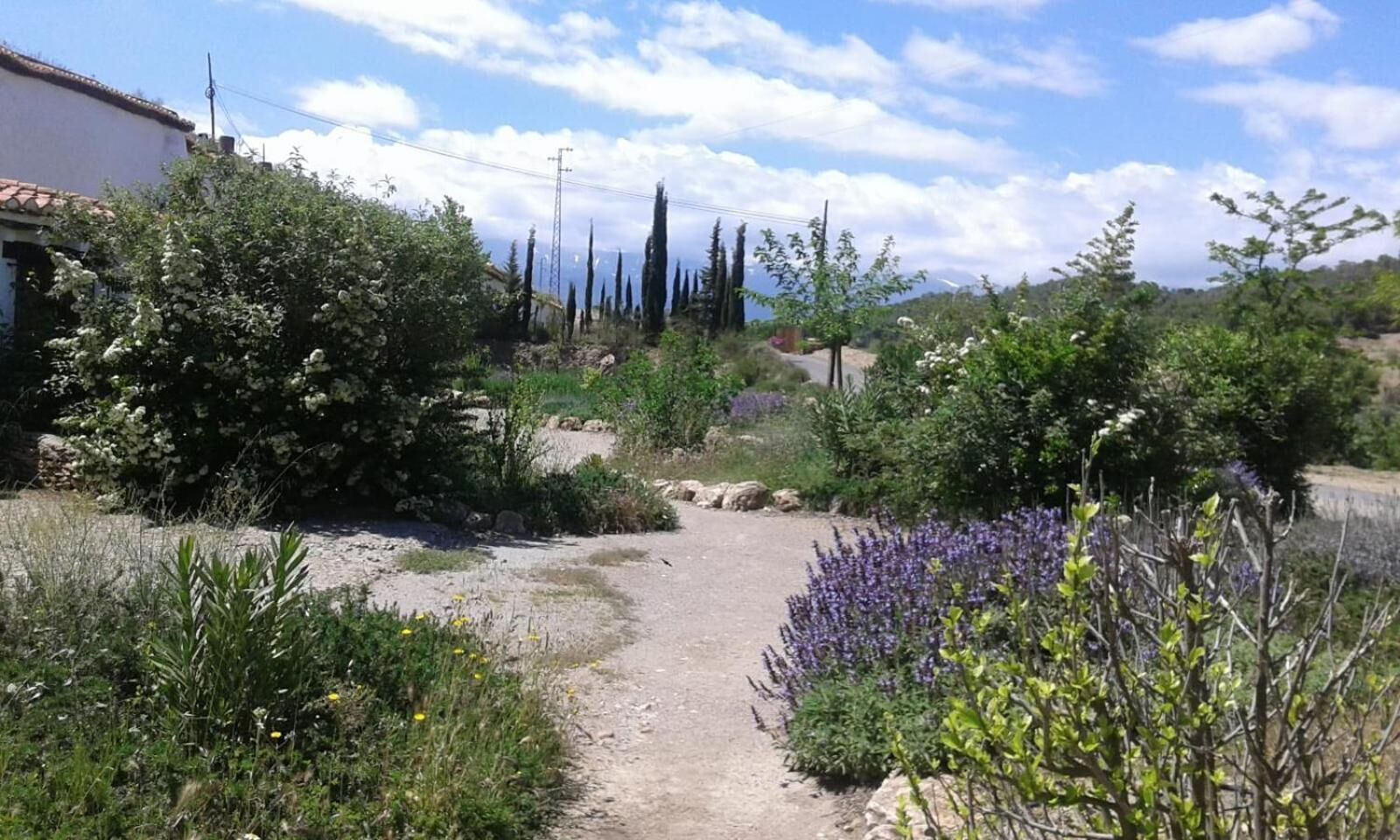 Photo of Outdoor in La Calahorra