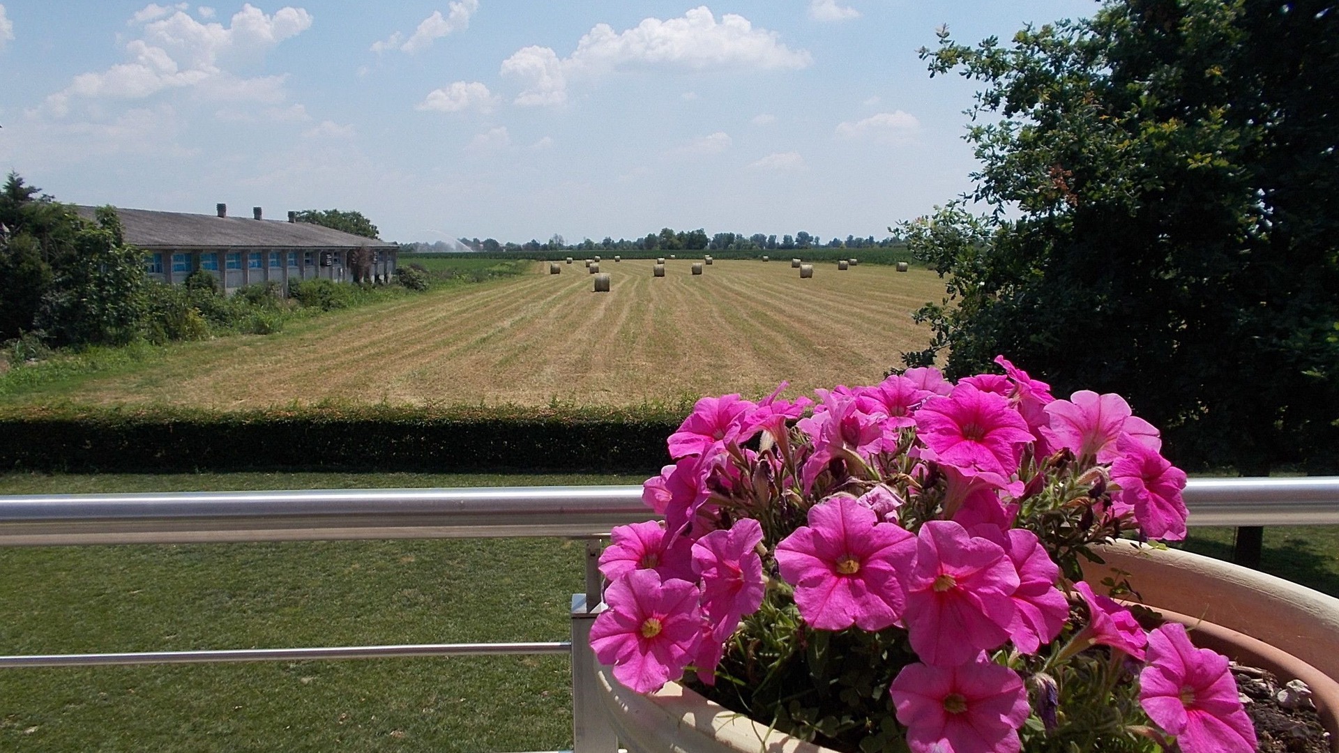 Photo of Outdoor in Marcaria