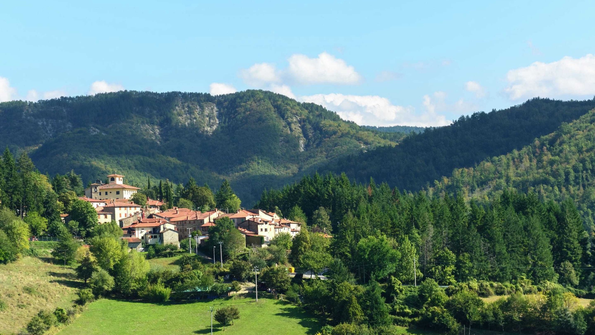 Photo of Others in Pratovecchio