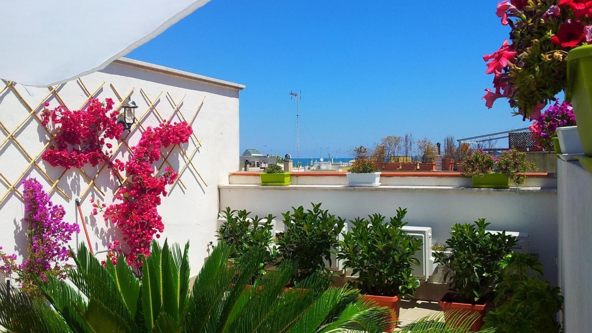 Photo of Patio Balcony in Trani