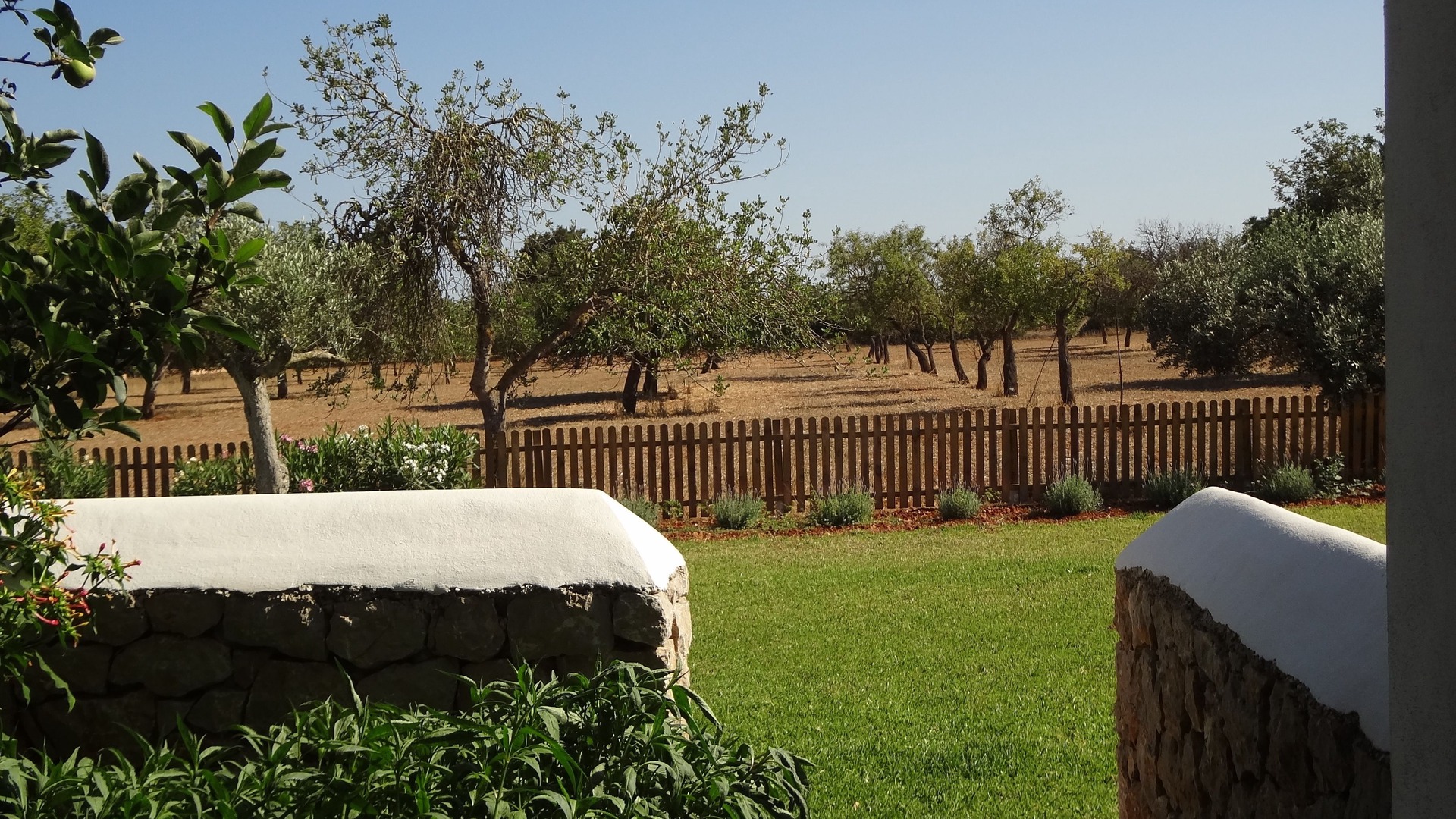 Photo of Outdoor in Sant Joan de Labritja