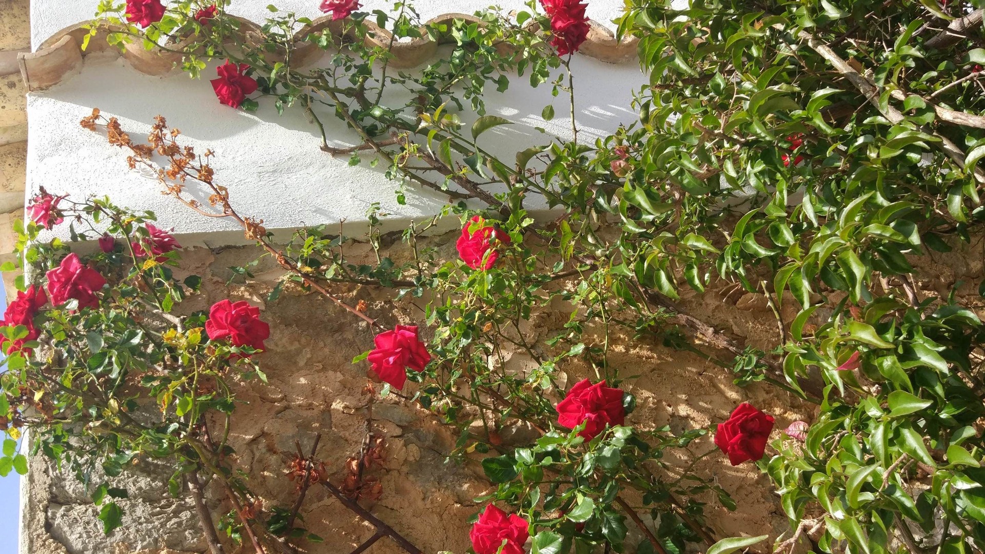 Photo of Outdoor in Sant Joan de Labritja