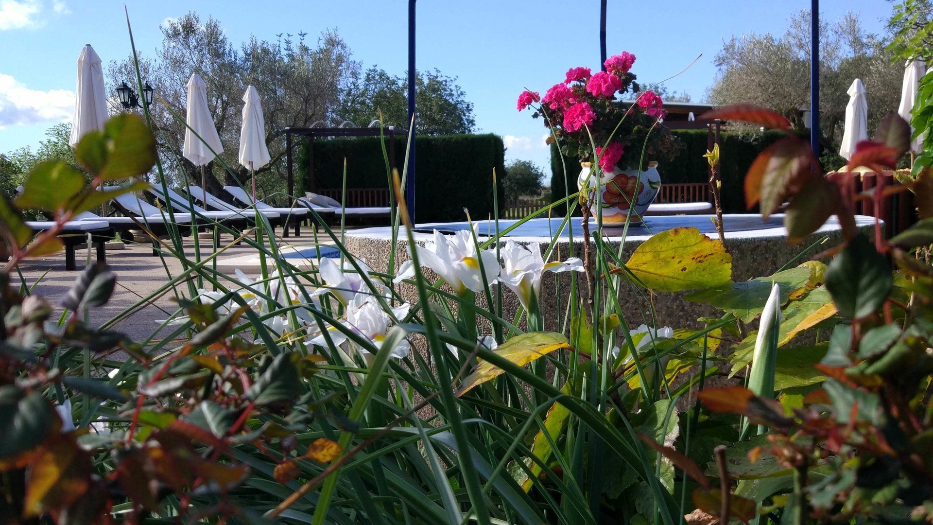 Photo of Outdoor in Sant Joan de Labritja