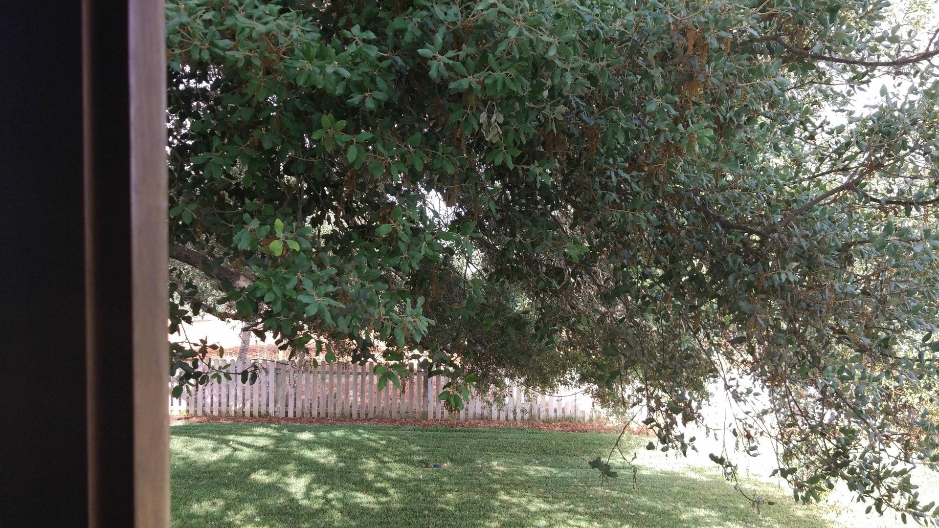 Photo of Outdoor in Sant Joan de Labritja