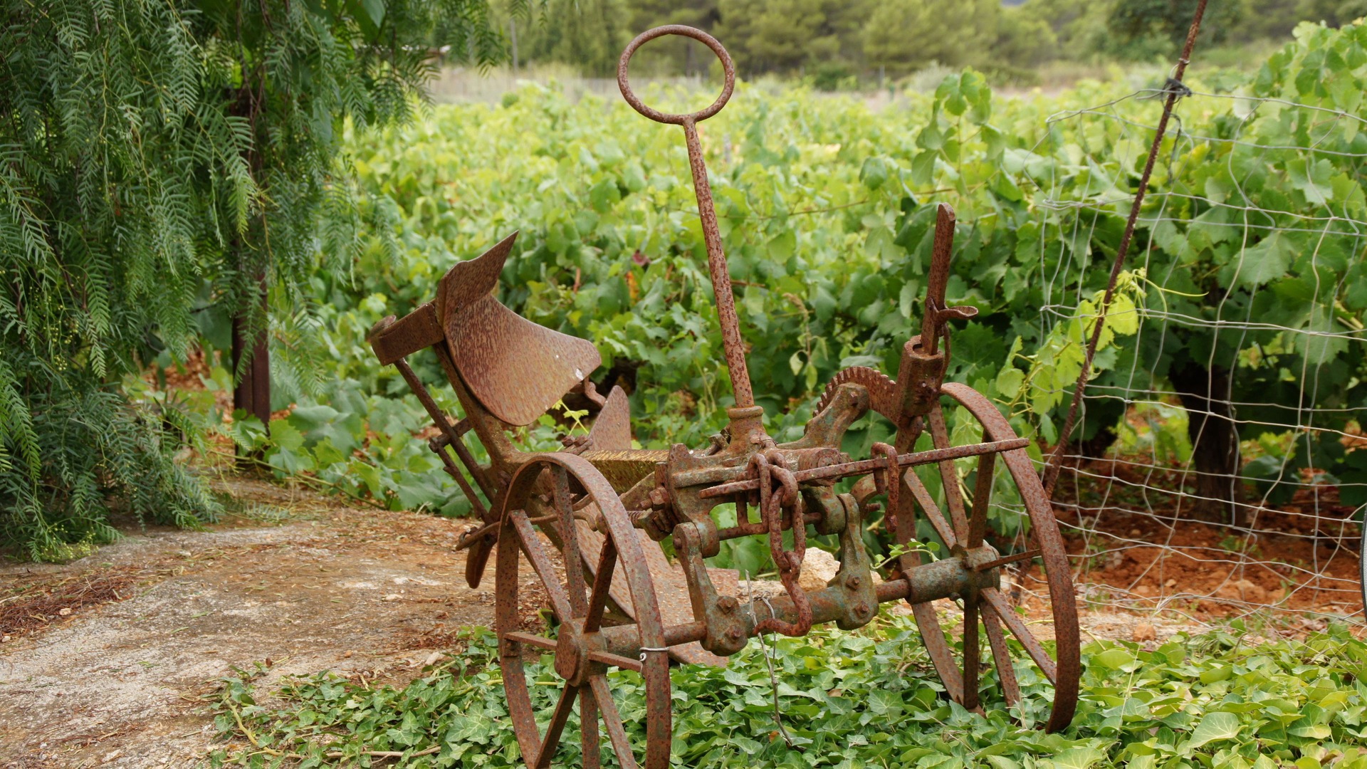 Photo of Outdoor in Sant Joan de Labritja