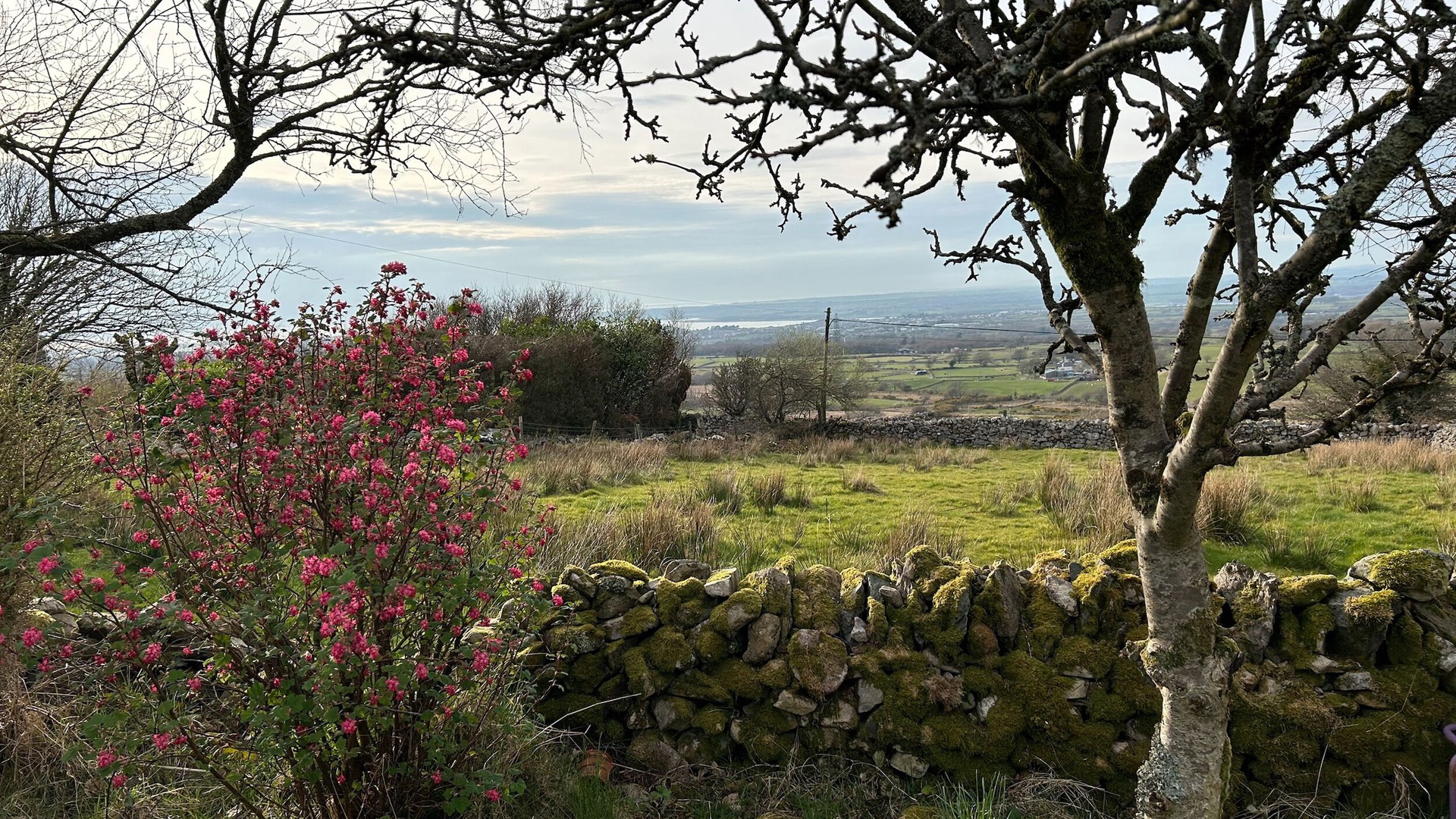 Photo of Others in Llanrug