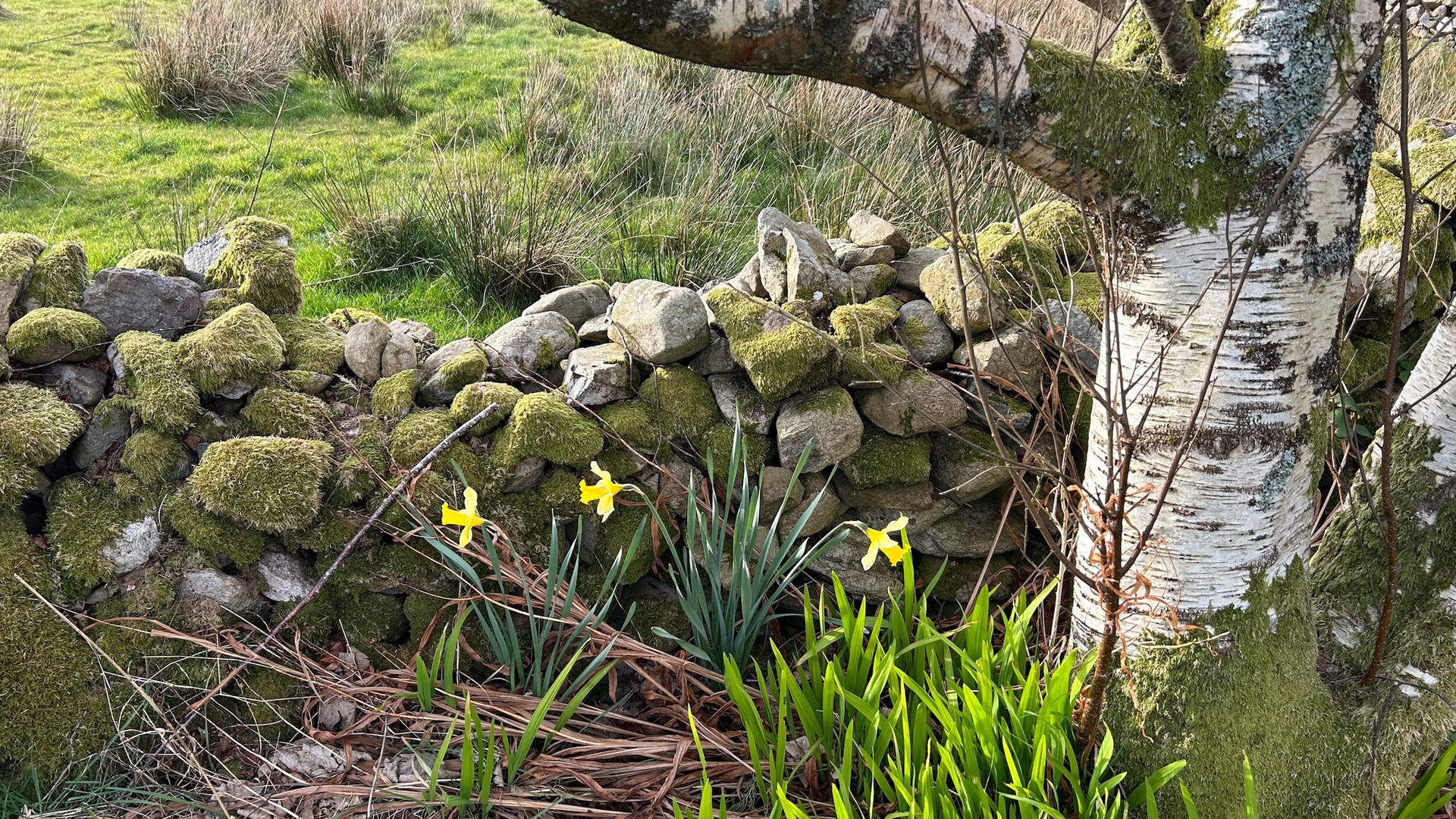 Photo of Outdoor in Llanrug