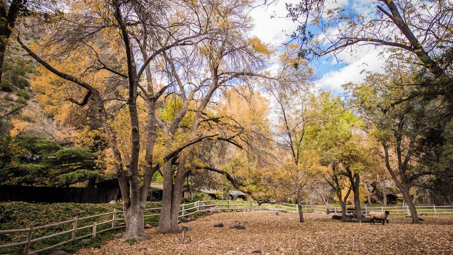 Photo of Outdoor in Sedona
