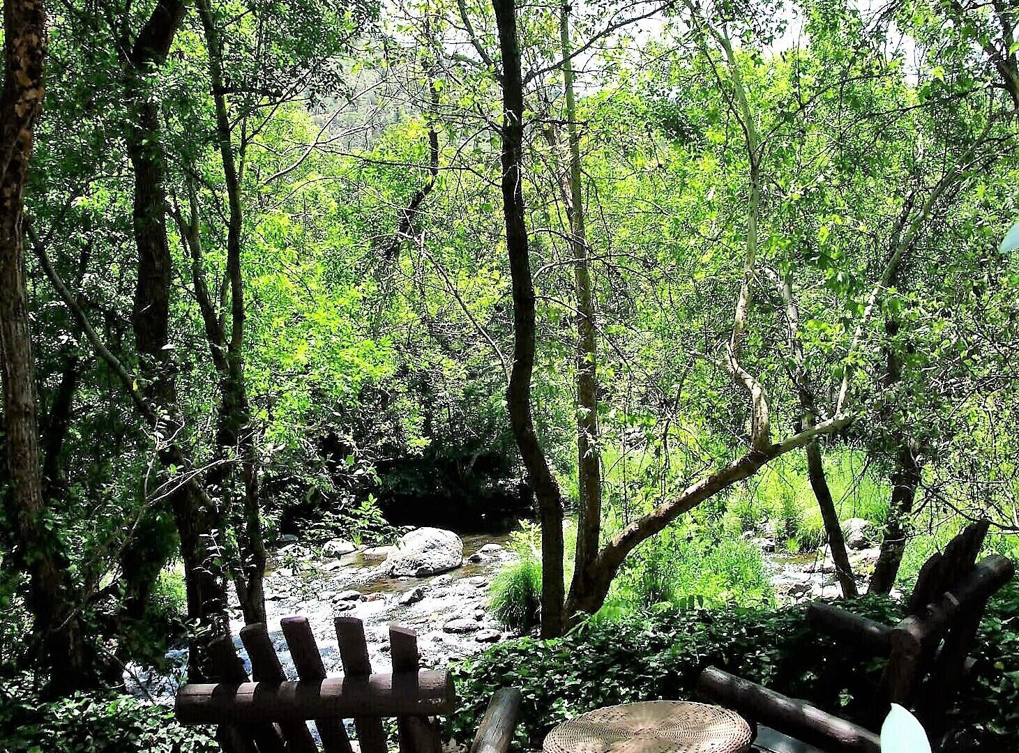 Photo of Others in Sedona